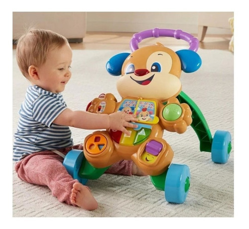 Andadera Fisher Price Ríe Y Aprende Perrito (Usado)