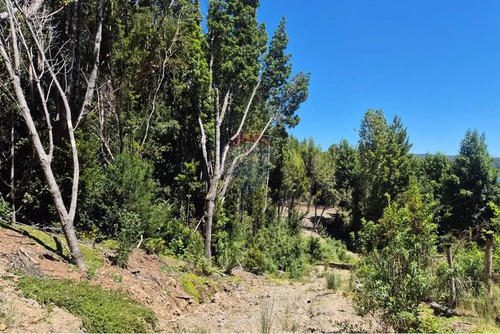 Venta Parcela C/ Acceso A Lago San Antonio Chiloe