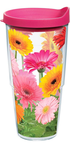 Gerbera Vaso Aislado Doble Pared Hecho En Estados Unidos Con