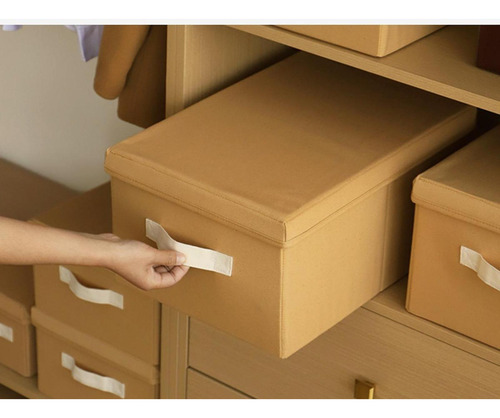 Organizador De Armario Con Tapa Y 40 Cm X 27 Cm X 17,5 Cm