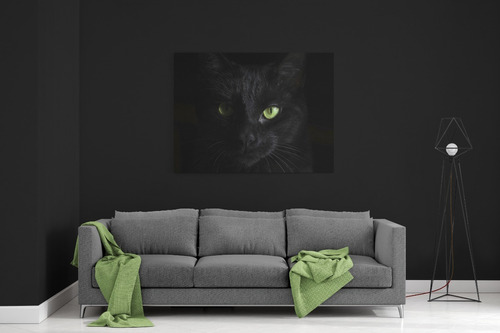 Cuadro Decorativo Gato Negro Animal En Canvas 80x55