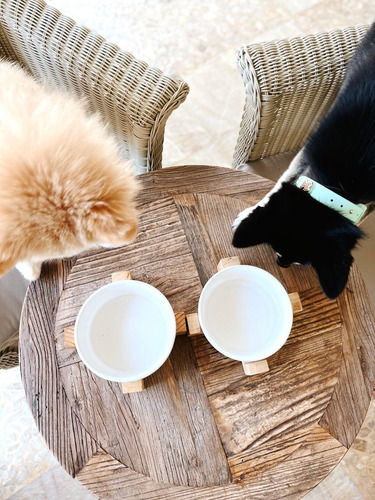 Imagen 3 de 3 de Plato Boho En Cerámica Para Perros Con Base En Madera