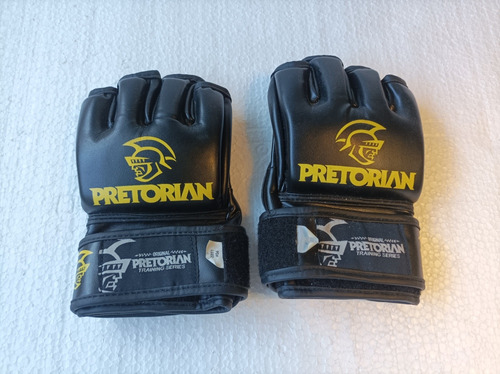 Guantillas De Artes Marciales Pretorian 