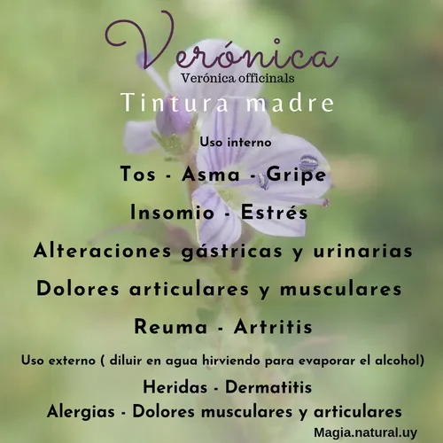 Tintura Madre De Ortiga.30ml. Magia Natural.