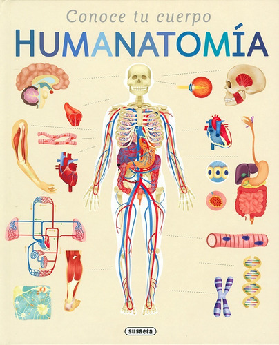 Conoce Tu Cuerpo. Humanatomia (t.d), De Susaeta Ediciones S.a.. Editorial Susaeta, Tapa Dura En Español, 2018
