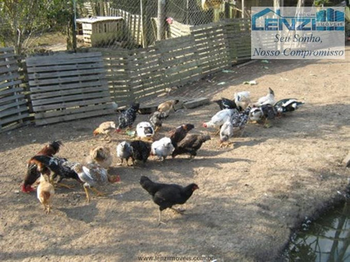 Imagem 10 de 29 de Chácaras À Venda Em Bragança Paulista/sp - Compre O Seu Chácaras Aqui! - 1374892
