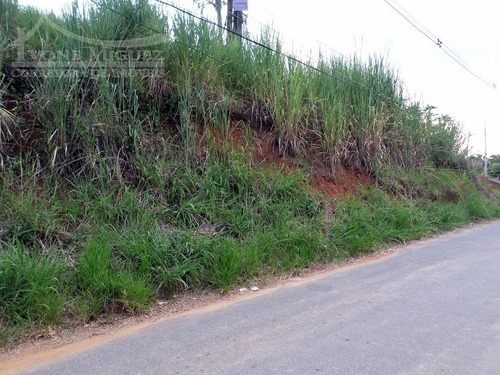 Imagem 11 de 11 de Terreno Em Pedras Ruivas - Paty Do Alferes - 1220