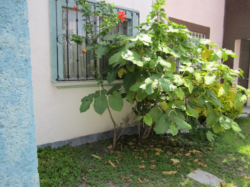 Habitación Amueblada En Renta En Villas Campestre