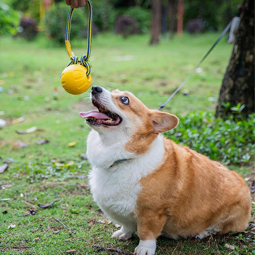 Bola De Masticación Del Perro Perro Jolly Ball Bola De Entre