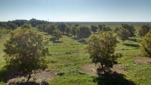 Imagen 18 de 26 de Terreno - Punta Indio