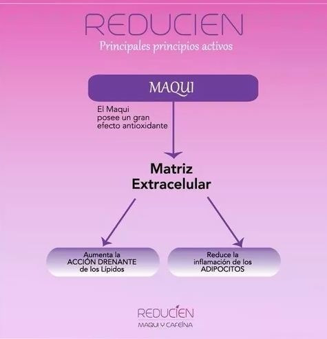 Imagen 5 de 7 de Yesoterapia Vendas Yeso Reductivas Profesional 6 Unidades