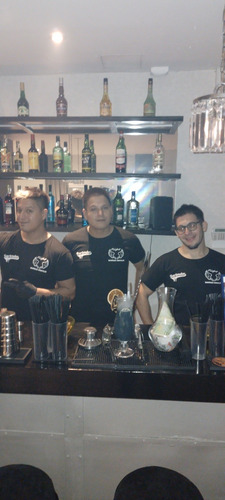 Imagen 5 de 5 de Barra Movil De Tragos