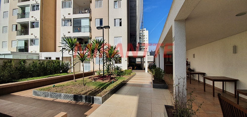 Imagem 25 de 27 de Apartamento Em Vila Mazzei - São Paulo, Sp - 360254