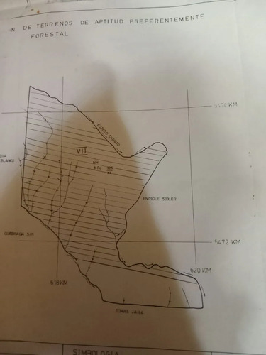 Se Vende Montaña Forestal