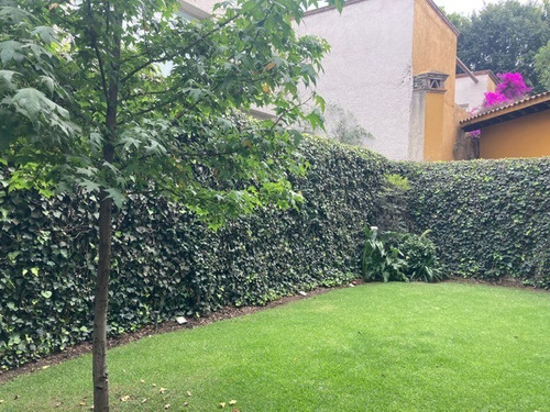 Imagen 9 de 14 de Casa En Venta San Angel