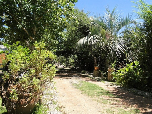 Imagen 6 de 30 de Los Robles En La Coronilla