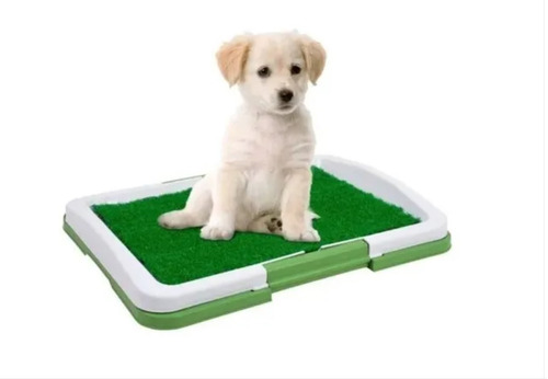 Oferta! Baño Perros Mascota Puppy Potty Ecologico Gatos