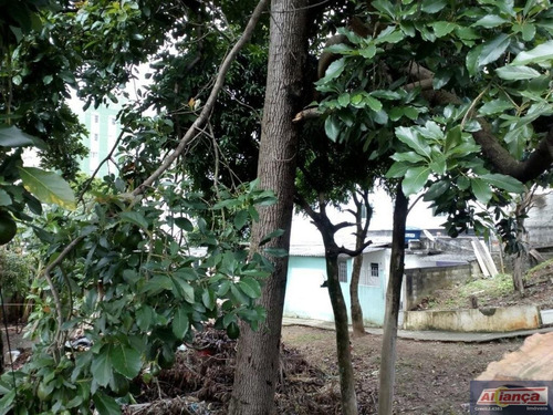 Imagem 6 de 15 de Terreno Para Construção. - Ai10656