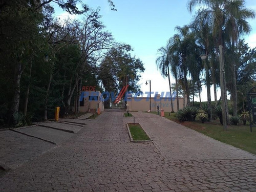 Imagem 6 de 8 de Terreno À Venda Em Joaquim Egídio - Te263171