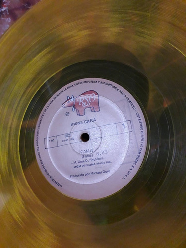 Lp De Colores Amarillo Rso Disco Irene Cara Vinilo (Usado)