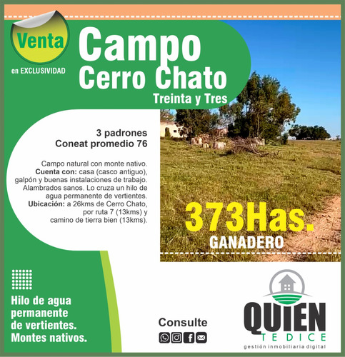 Campo Ganadero A 26km De Cerro Chato, El Mejor En La Zona! Consulte!