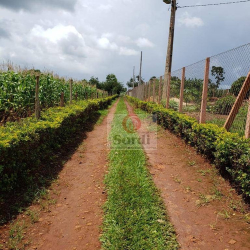 Chácara Com 4 Dormitórios À Venda, 31000 M² Por R$ 720.000,00 - Estrada Municipal Rural - Cajuru/sp - Ch0073