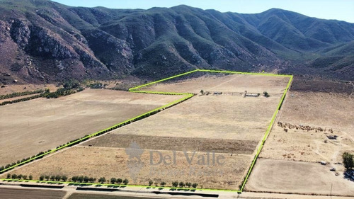 Imagen 2 de 7 de 10 A 40 Ha A Un Costado De La Cetto En Valle De Guadalupe