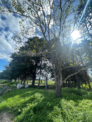 Terreno En Zona Oeste Con Escritura