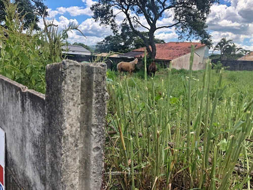 Imagem 3 de 6 de Terreno Venda Bairro Loanda Em Atibaia - Te0304-1