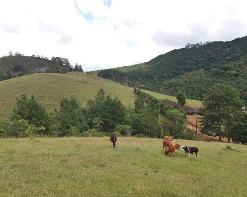 Imagem 26 de 30 de Fazenda Bem Localizada À Venda Em Juquitiba. - 15 - 32982853