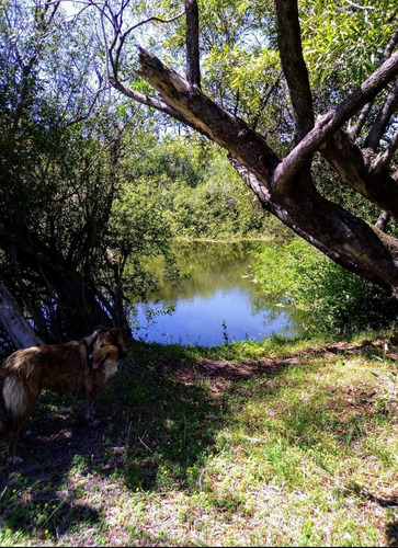 Imagen 2 de 5 de Espacio Verde Con Arroyo Para Pesca Camping Paseos A Caballo