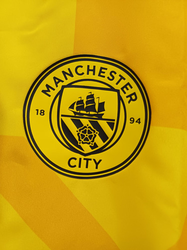 Campera Manchester City Amarilla - Puma