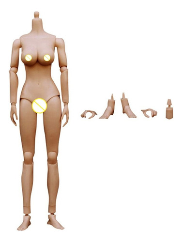 Escala 1/6 Busto Grande De Cuerpo Desnudo De Mujer Para 12