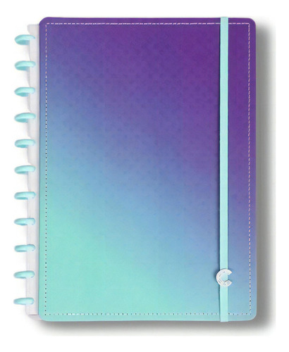  Caderno Inteligente Inteligente CIGD4106 80 folhas  listradas 4 assuntos unidade x 1 29cm x 23cm