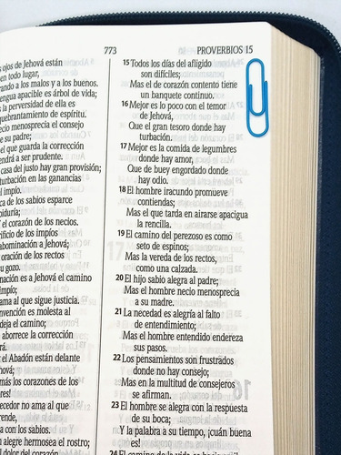Imagen 7 de 8 de Biblia Estuche Azul Y Dorada Letra Grande Reina Valera 1960