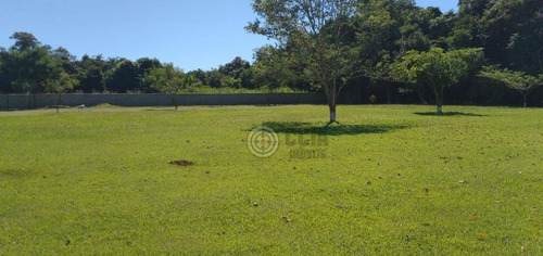 Imagem 9 de 26 de Chácara Com 4 Dormitórios À Venda, 10000 M² Por R$ 1.500.000,00 - Imóvel Cataratas - Gleba Ii - Foz Do Iguaçu/pr - Ch0028