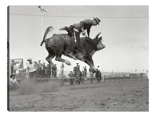 Cuadro Decorativo - Payaso De Rodeo Vintage