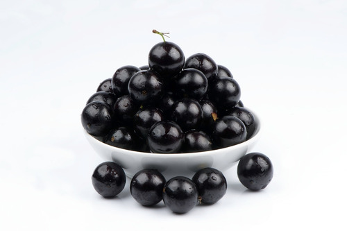 Muda De Jabuticaba Hibrida Produz O Ano Inteiro