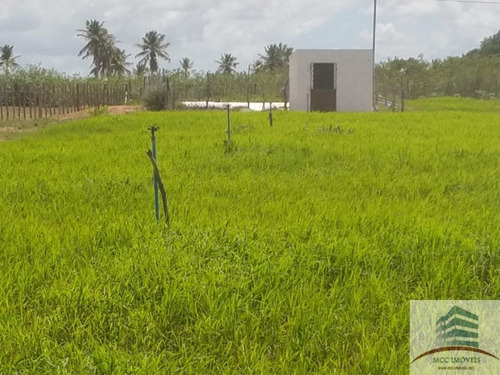 Imagem 24 de 30 de Granja A Venda Em Macaíba
