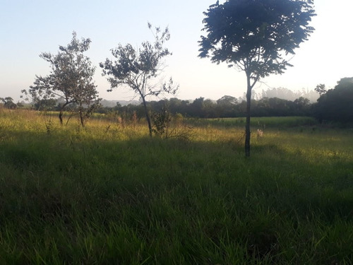 Imagem 28 de 30 de Sítio À Venda, 158994 M² Por R$ 700.000,00 - Santa Terezinha - Piracicaba/sp - Si0028