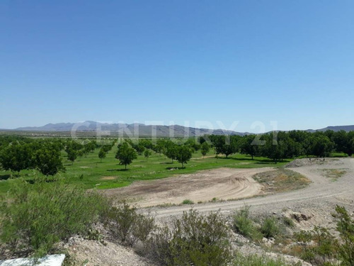 Rancho En Venta En Coyame Chihuahua
