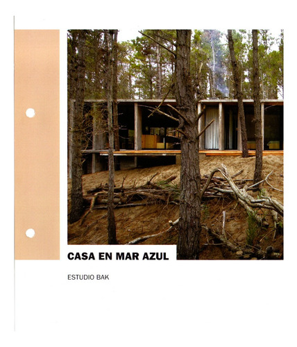 Fichas Arquitectura Clarin Coleccion:viviendas Siglo Xxi (Usado)