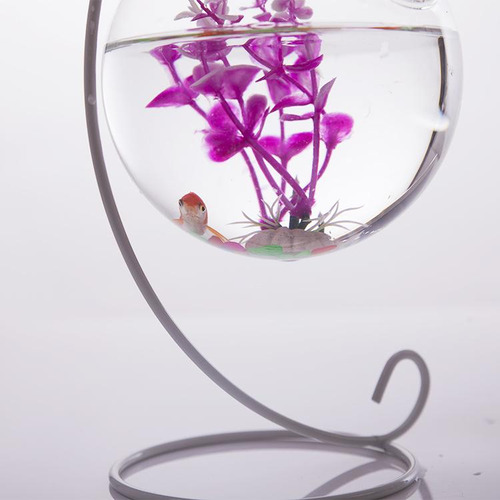 Forma De Pendurado Na Parede Vaso De Flores Planta Garrafa
