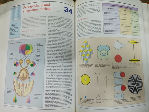 Imagen 4 de 6 de Atlas De Anatomia * El Cuerpo Y La Salud *
