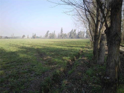 Gran Terreno En Santa Inés De Miraflores, Colina