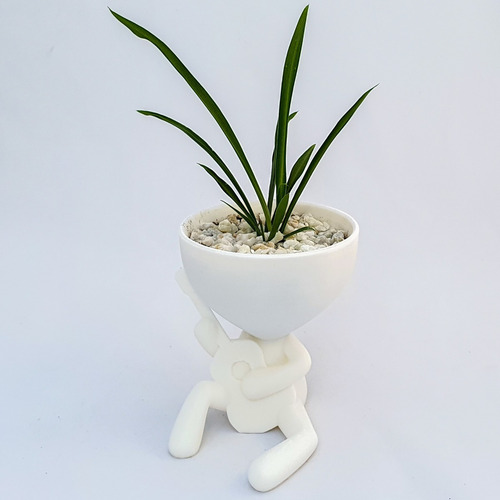 11 Macetas 3decofriendly Suculentas Cactus Robert Plant