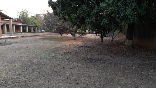 Imagem 18 de 30 de Chácara Com 2 Dormitórios À Venda, 2000 M² Por R$ 550.000 - Bela Vista - Elias Fausto/sp - Ch0279