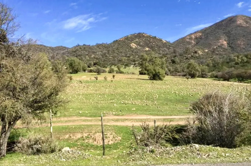 Oportunidad Inversión Única En Colliguay 43,28 H + Casa