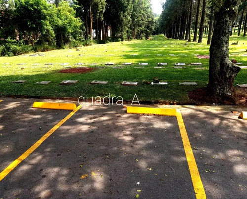 Venda De Jazigo Com 3 Gavetas, No Cemitério Jardim Da Colina, Em São Bernardo Do Campo - Sp