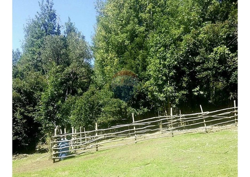 Escape To Tranquil 40,000m² Land In Quellón